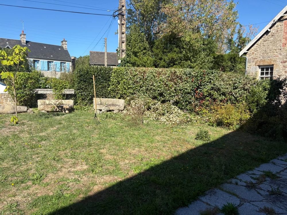 Haies taillées après intervention