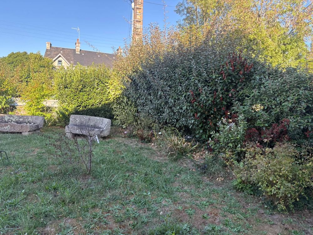Haies et massifs avant intervention